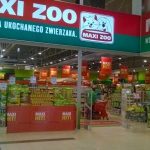 Maxi Zoo i 4FRAME – razem z miłość do zwierząt