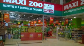 Maxi Zoo i 4FRAME – razem z miłość do zwierząt