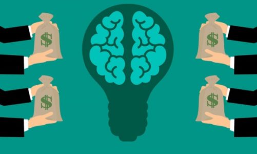 Crowdfunding udziałowy czy venture capital? Co lepsze dla startującego biznesu?